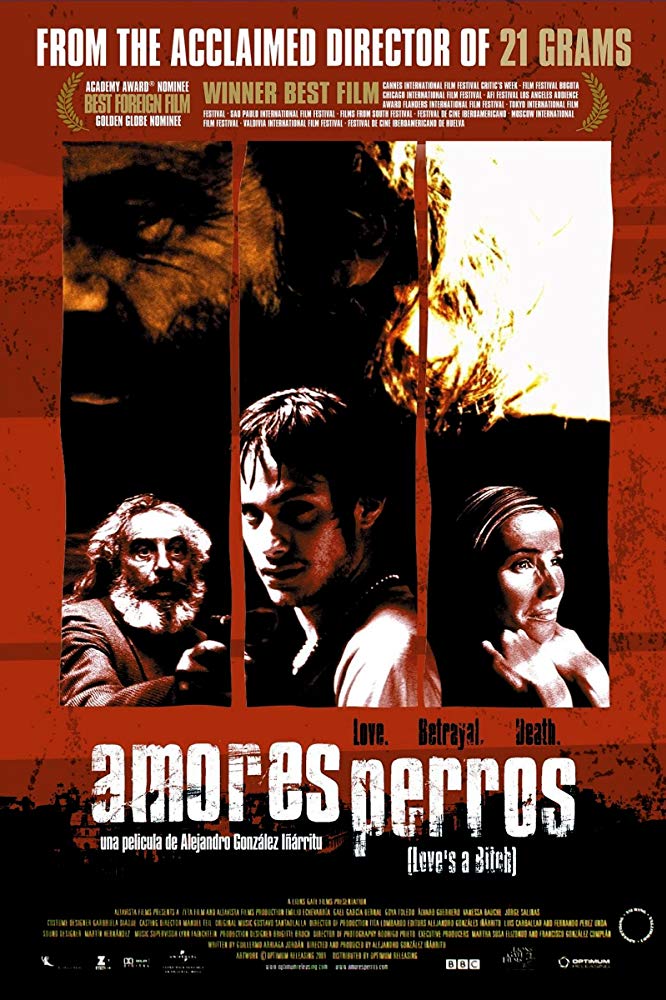 Amores perros ( 2000 )