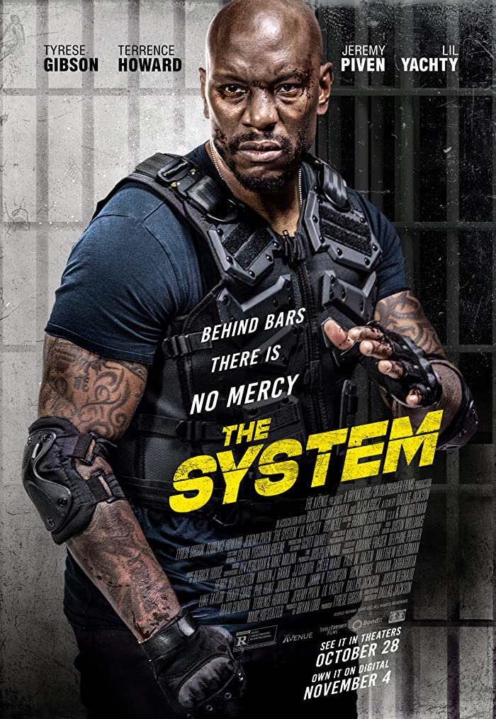 The System ( 2022 )