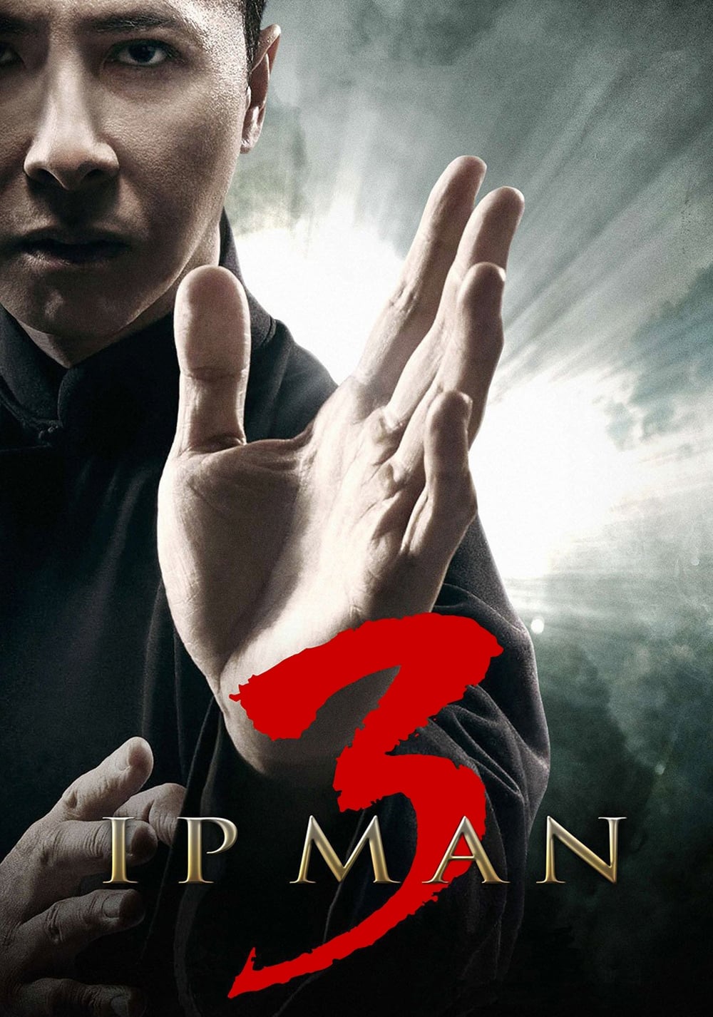 ip Man 3 ( 2015 )