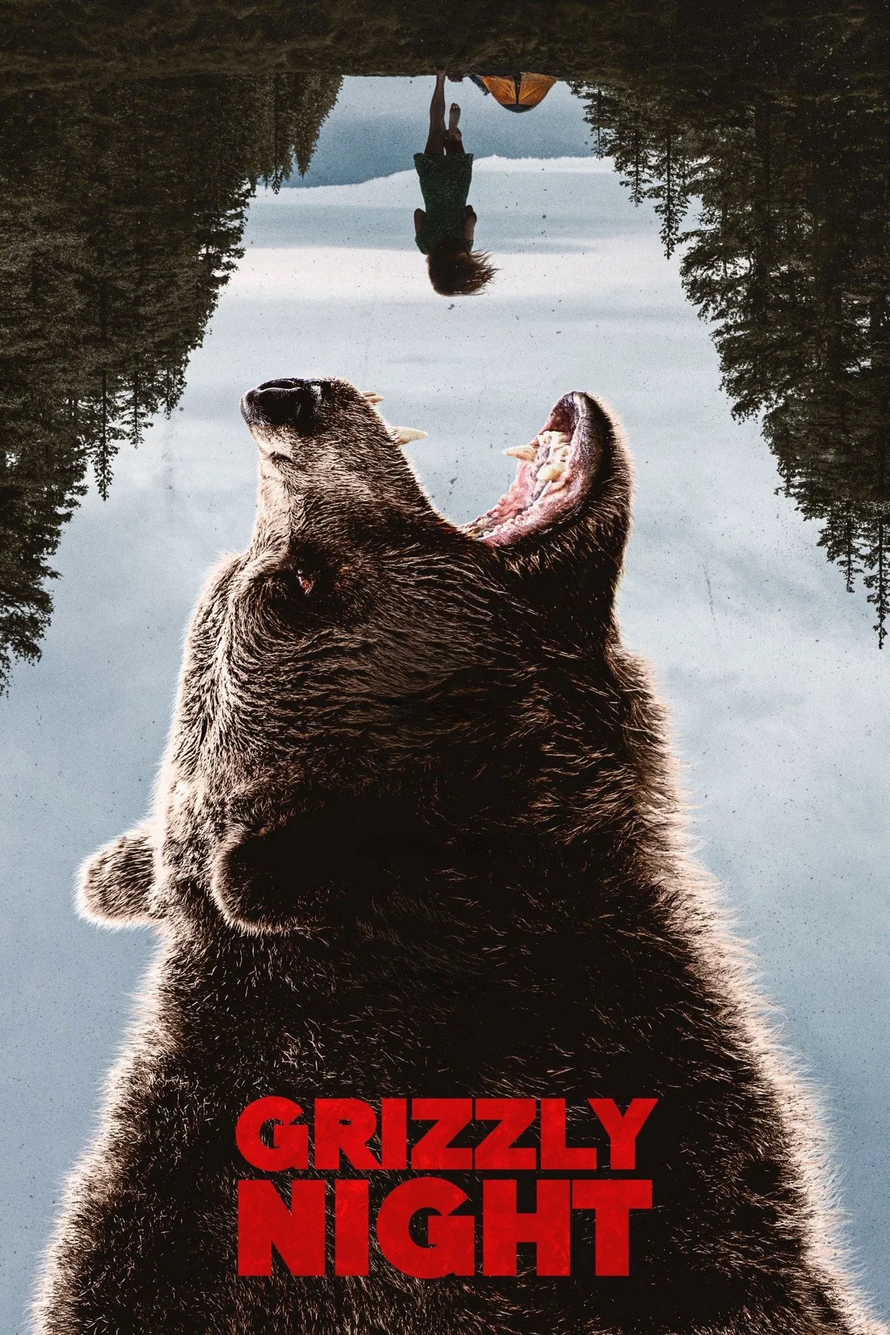 Grizzly Night ( 2026 )