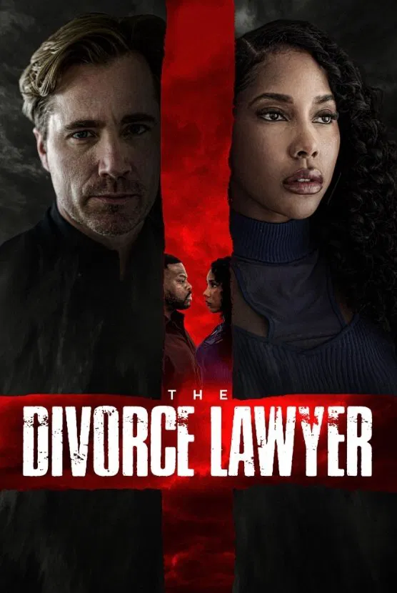 The Divorce Lawyer ( 2025 )