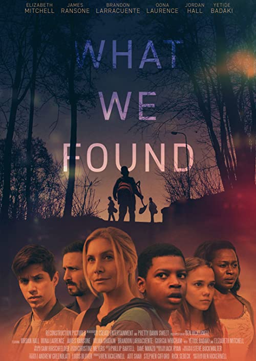 What We Found ( 2020 )