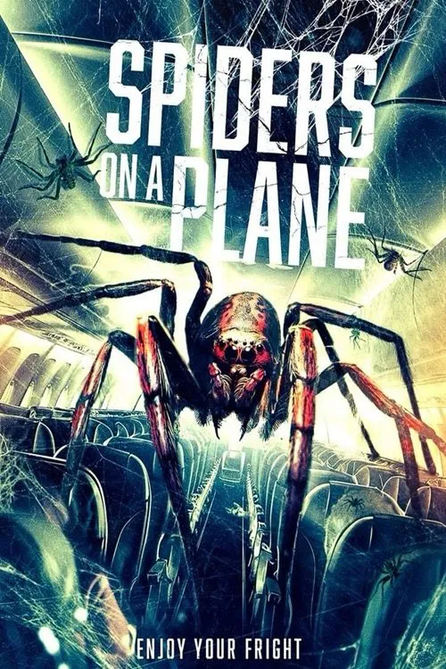 Spiders on a Plane ( 2024 )