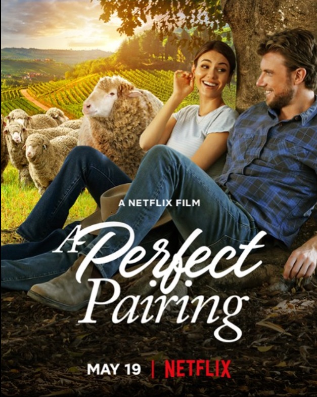 A Perfect Pairing ( 2022 )