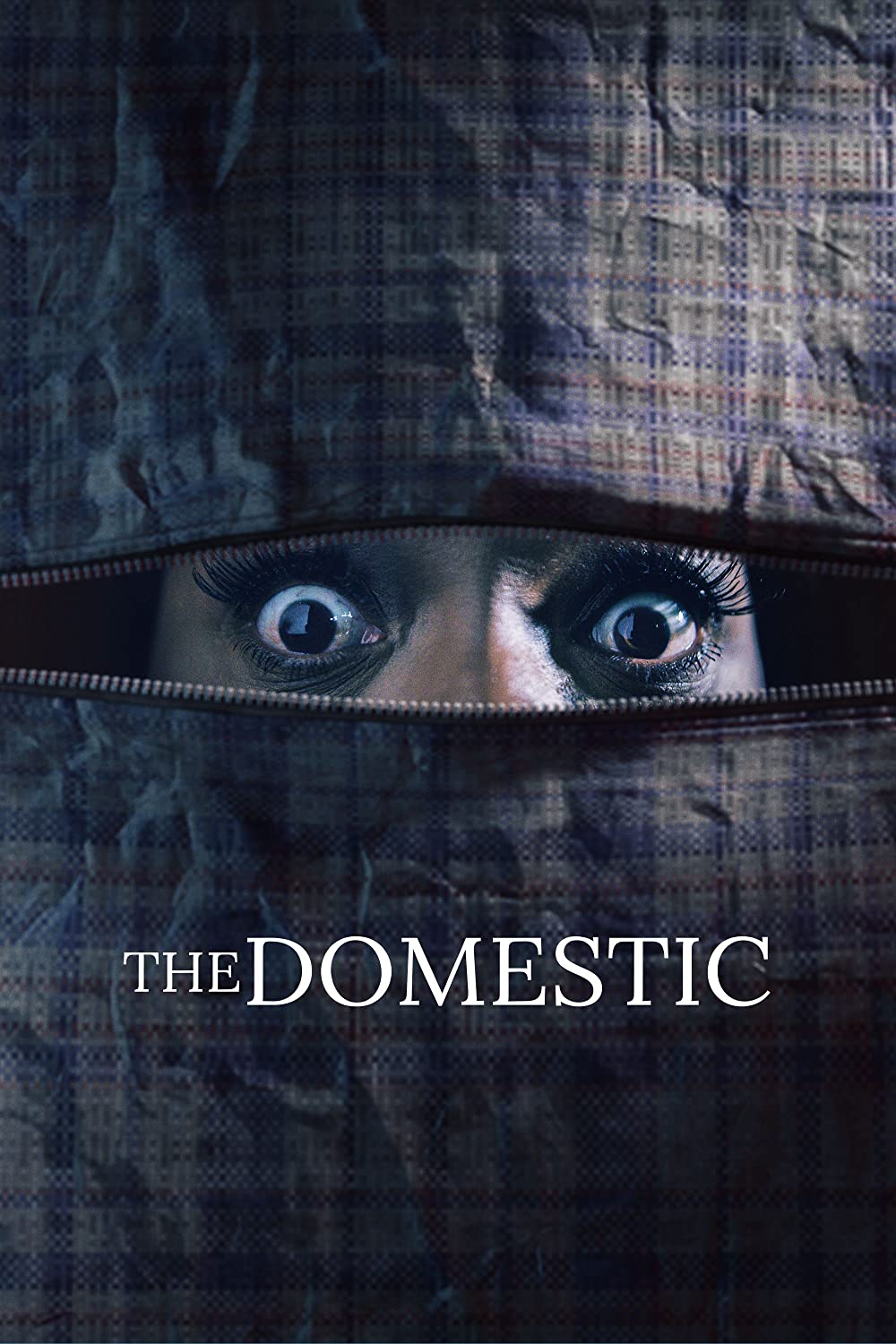 مشاهدة فيلم The Domestic 2022 اون لاين