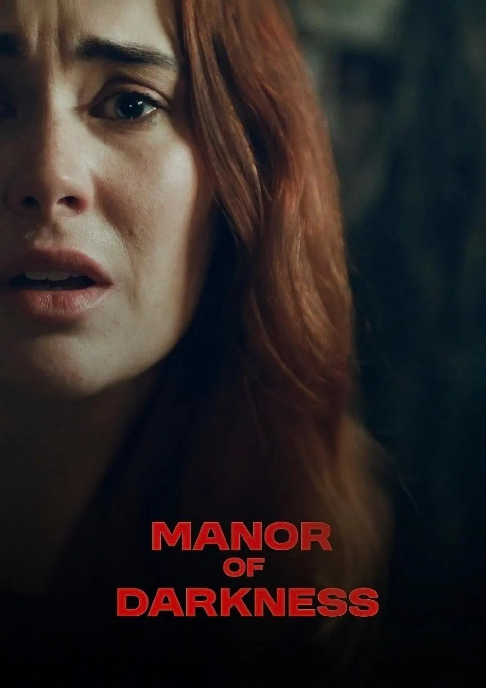 Manor of Darkness ( 2025 )