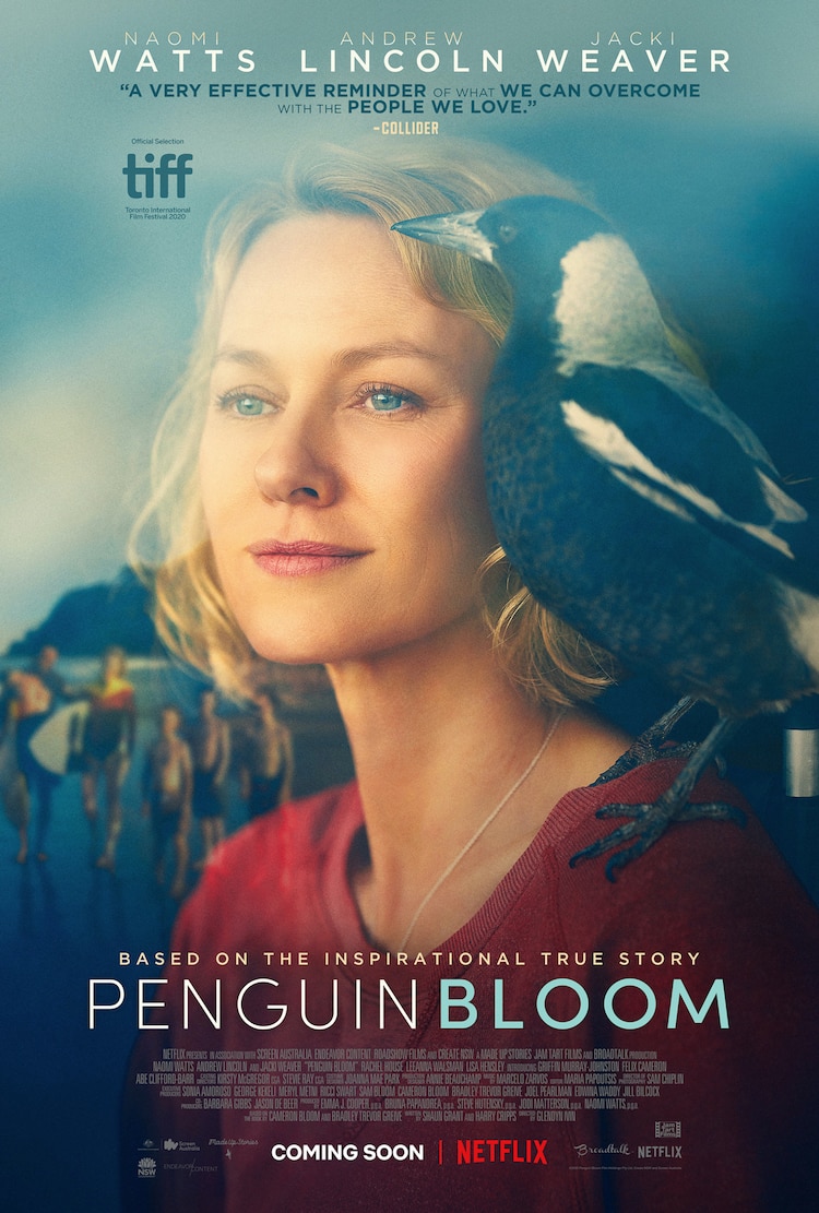 مشاهدة فيلم Penguin Bloom 2020 اون لاين