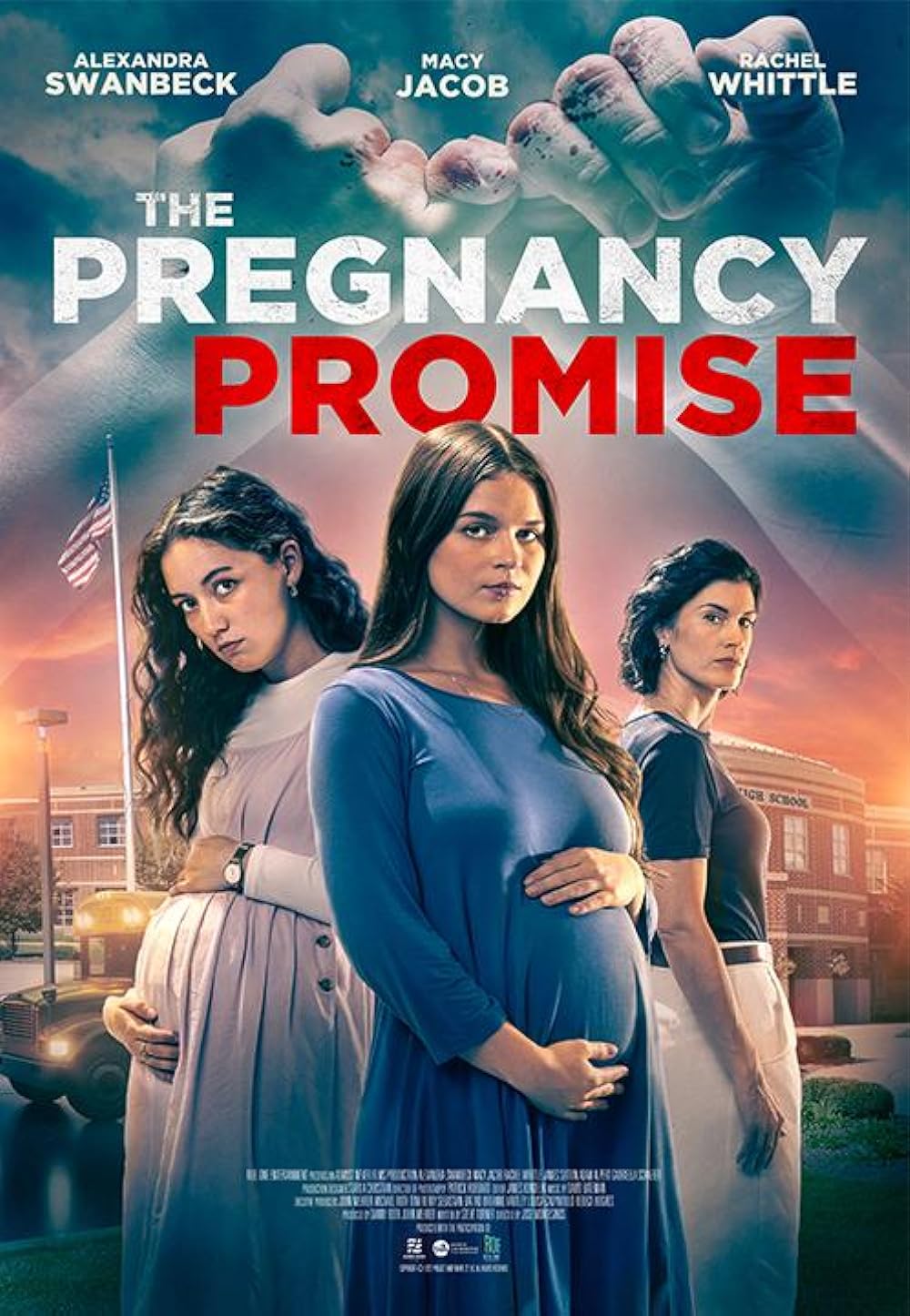 The Pregnancy Promise ( 2023 )