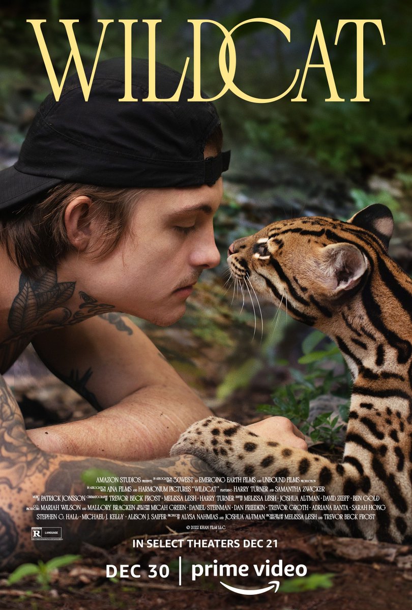 Wildcat ( 2022 )
