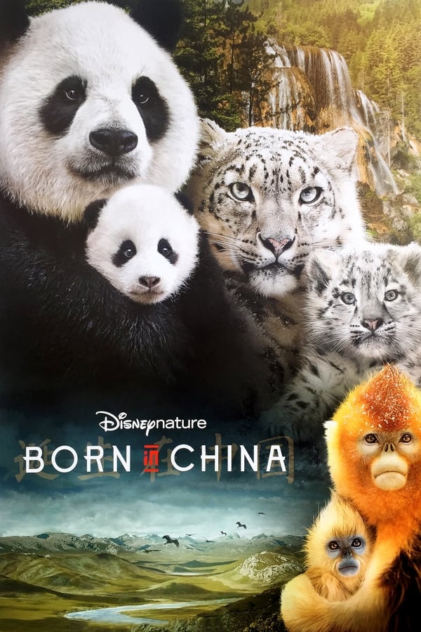 مشاهدة فيلم Born in China 2016 اون لاين