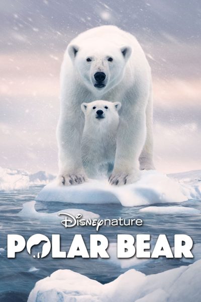 Polar Bear ( 2022 )