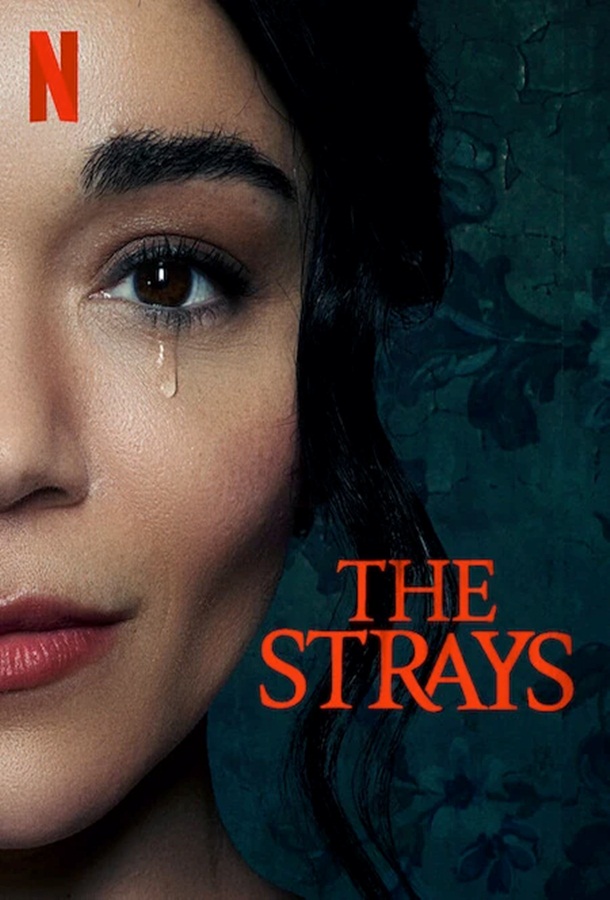 مشاهدة فيلم The Strays 2023 اون لاين