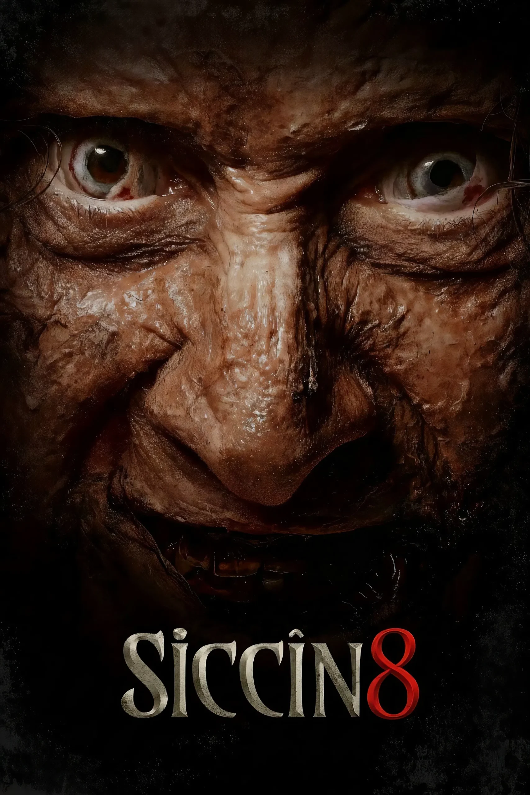 Siccin 8 ( 2025 )