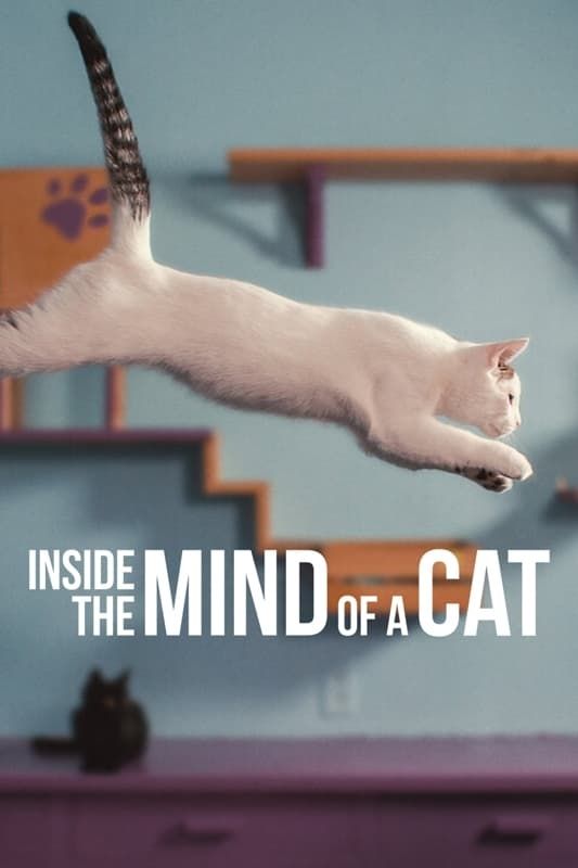 Inside the Mind of a Cat ( 2022 )