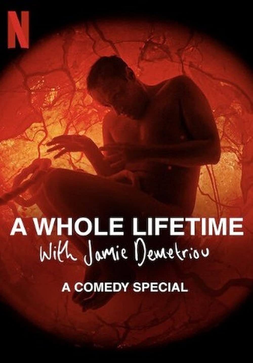 A Whole Lifetime with Jamie Demetriou ( 2023 )