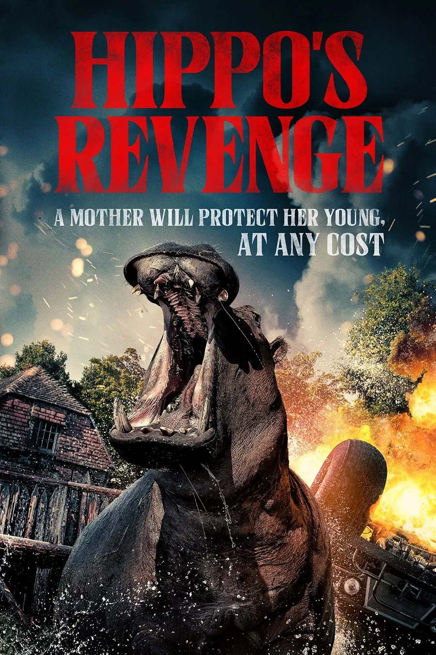 Hippo’s Revenge ( 2025 )