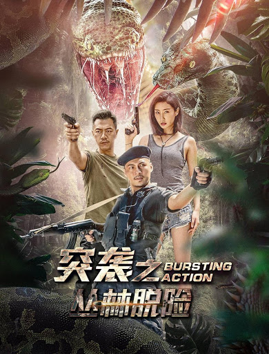Bursting Action ( 2020 )