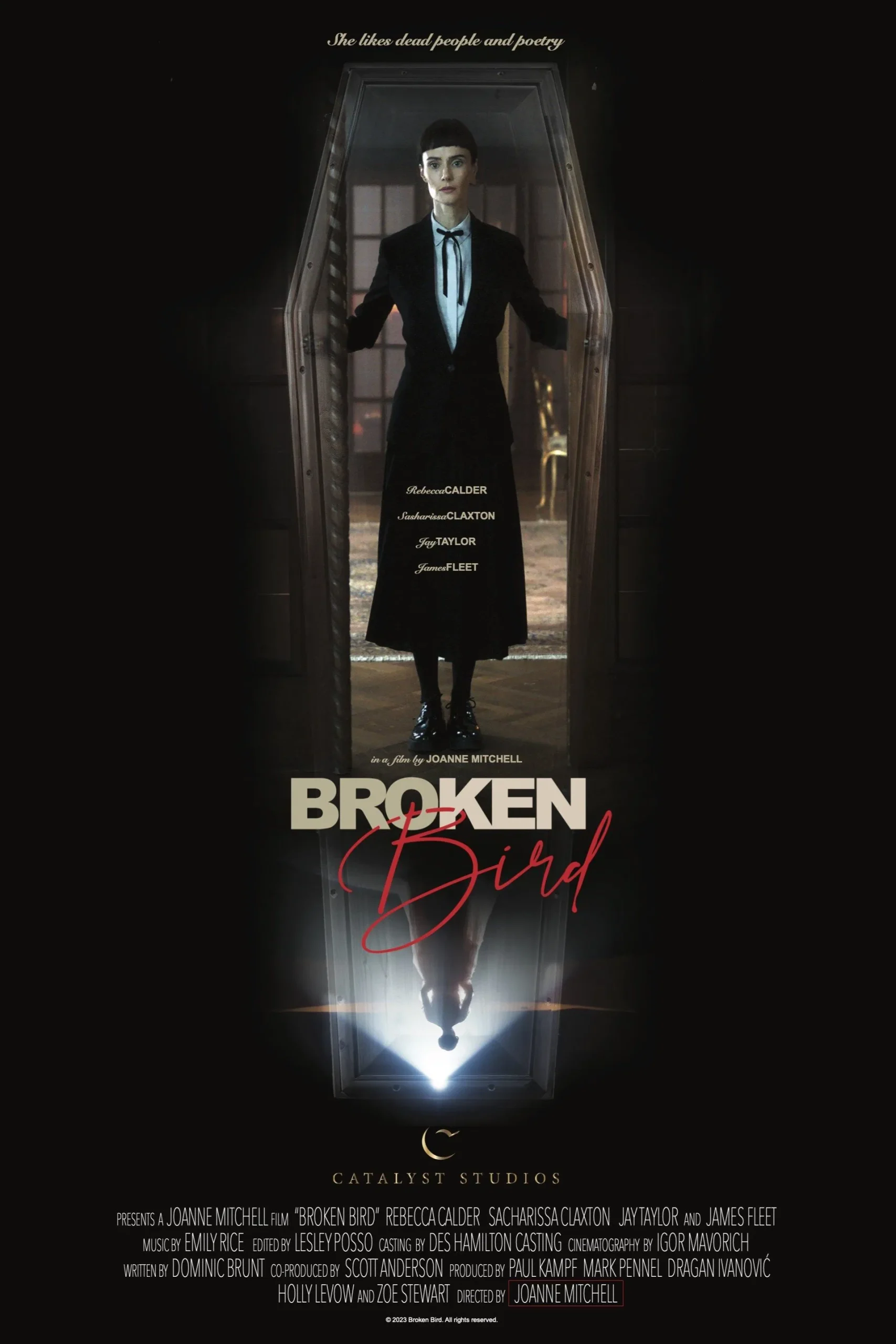 Broken Bird ( 2024 )