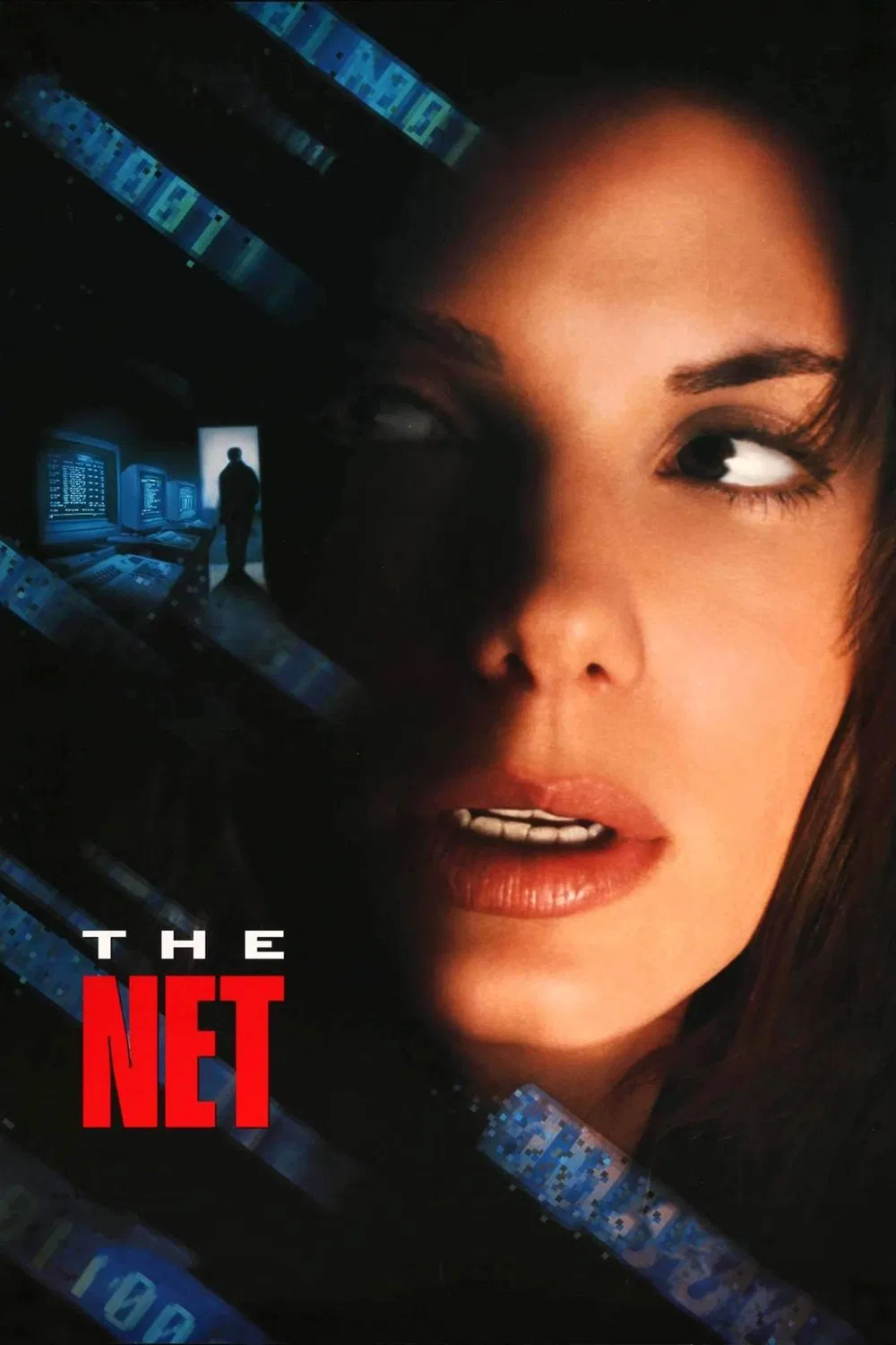 The Net ( 1995 )