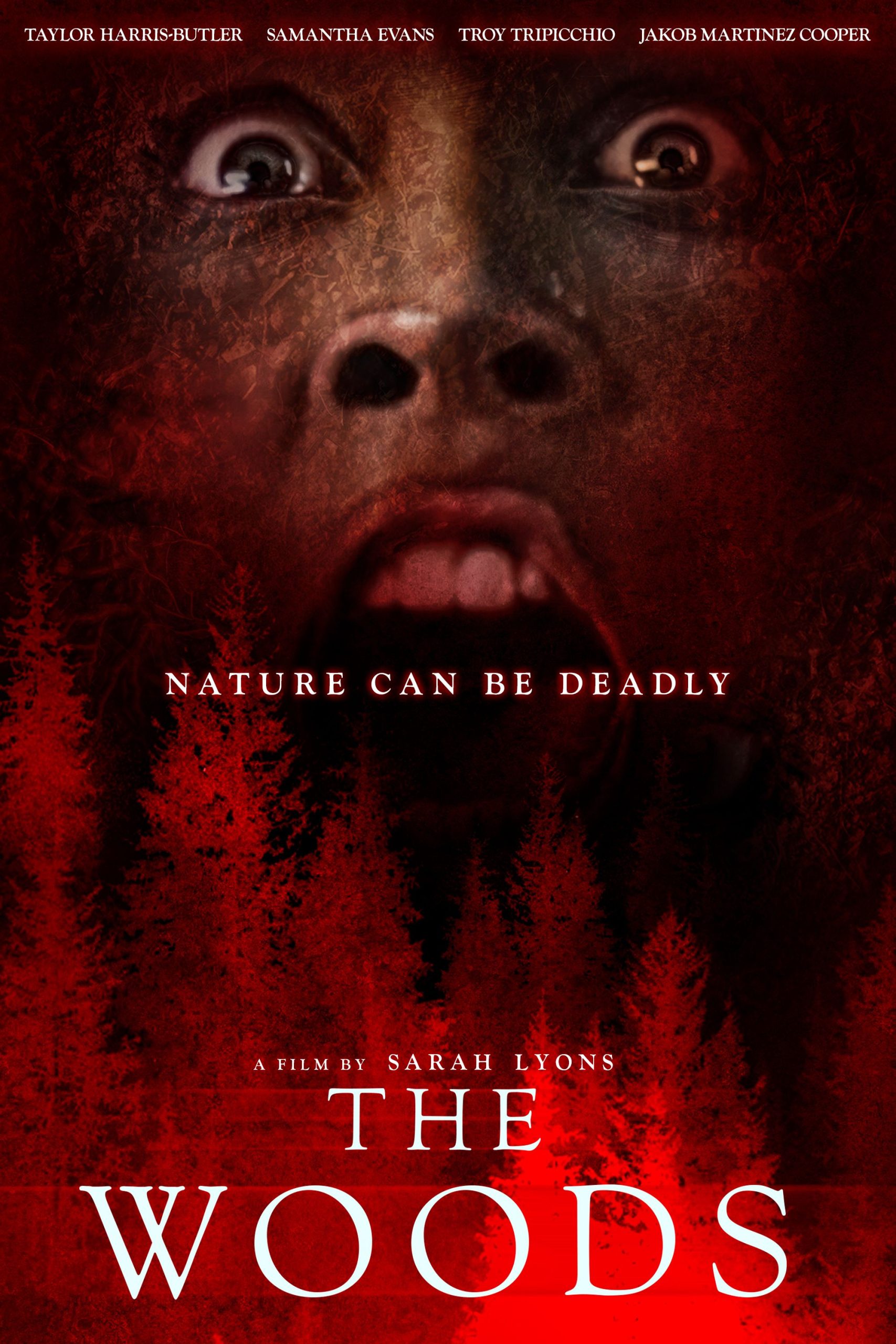 The Woods ( 2024 )