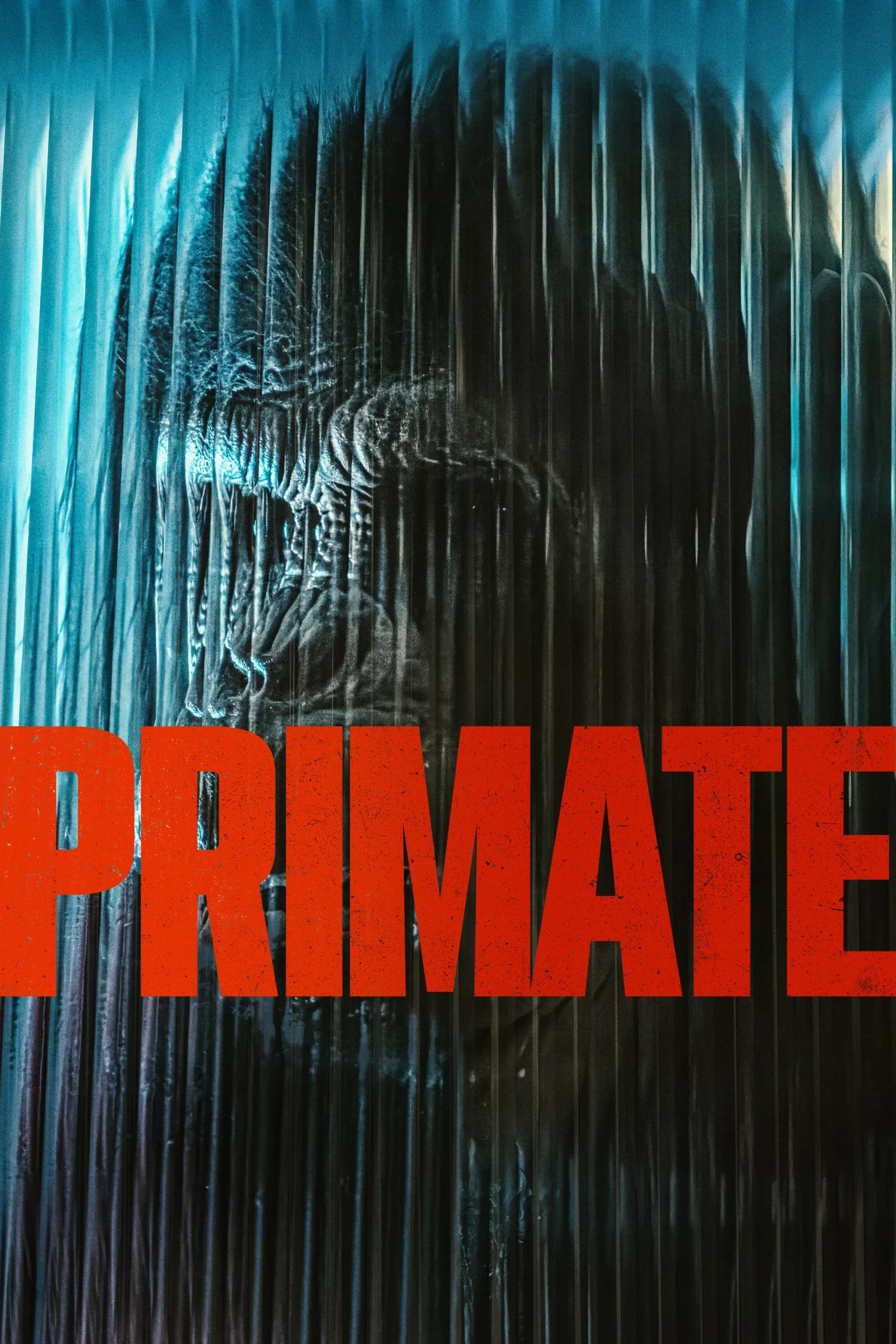 Primate ( 2026 )
