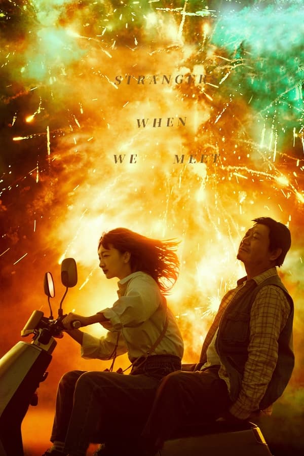 Strangers When We Meet ( 2024 )