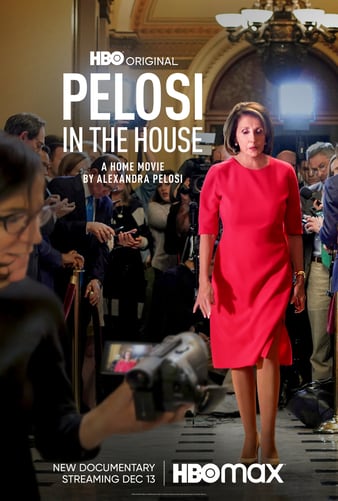 Pelosi in the House ( 2022 )