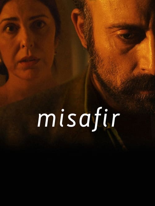 Misafir ( 2011 )