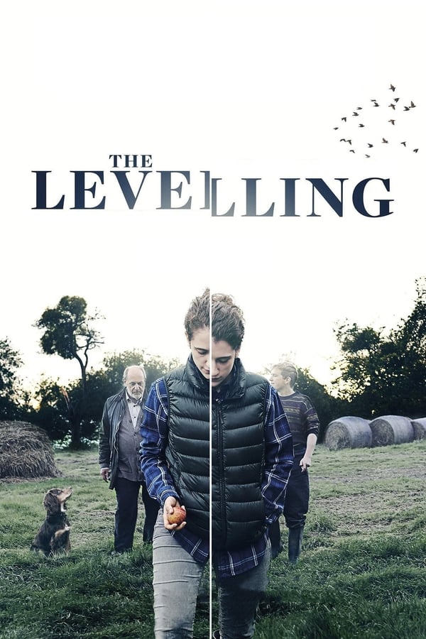 The Levelling ( 2016 )