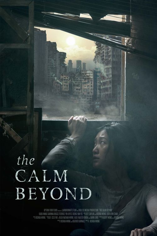 The Calm Beyond ( 2020 )