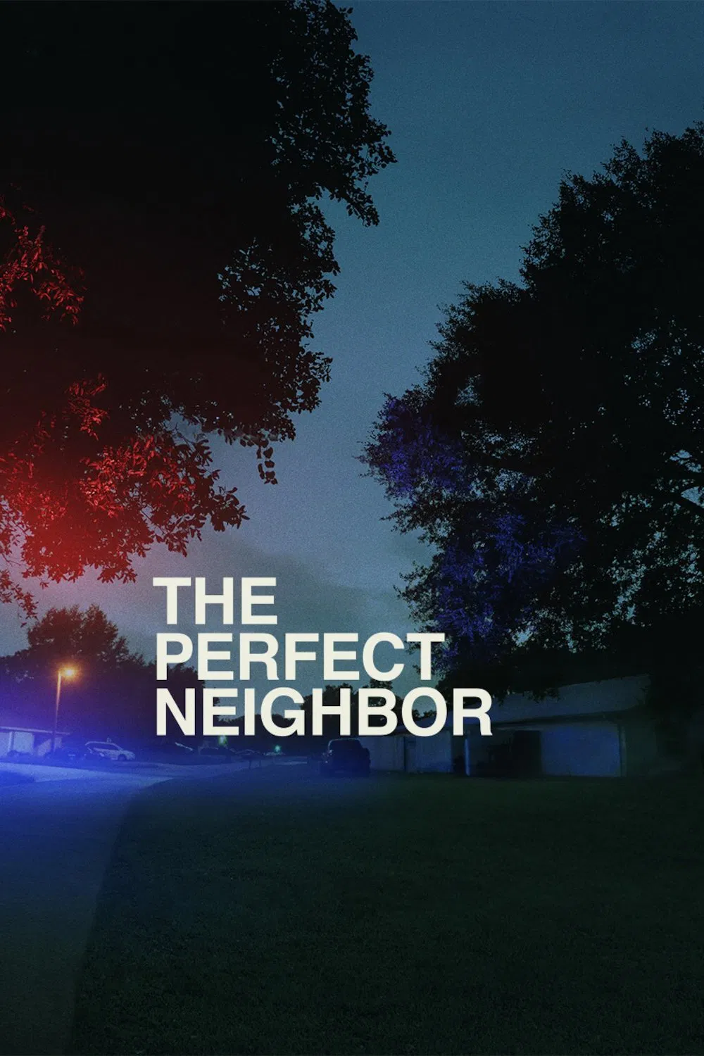 The Perfect Neighbor ( 2025 )